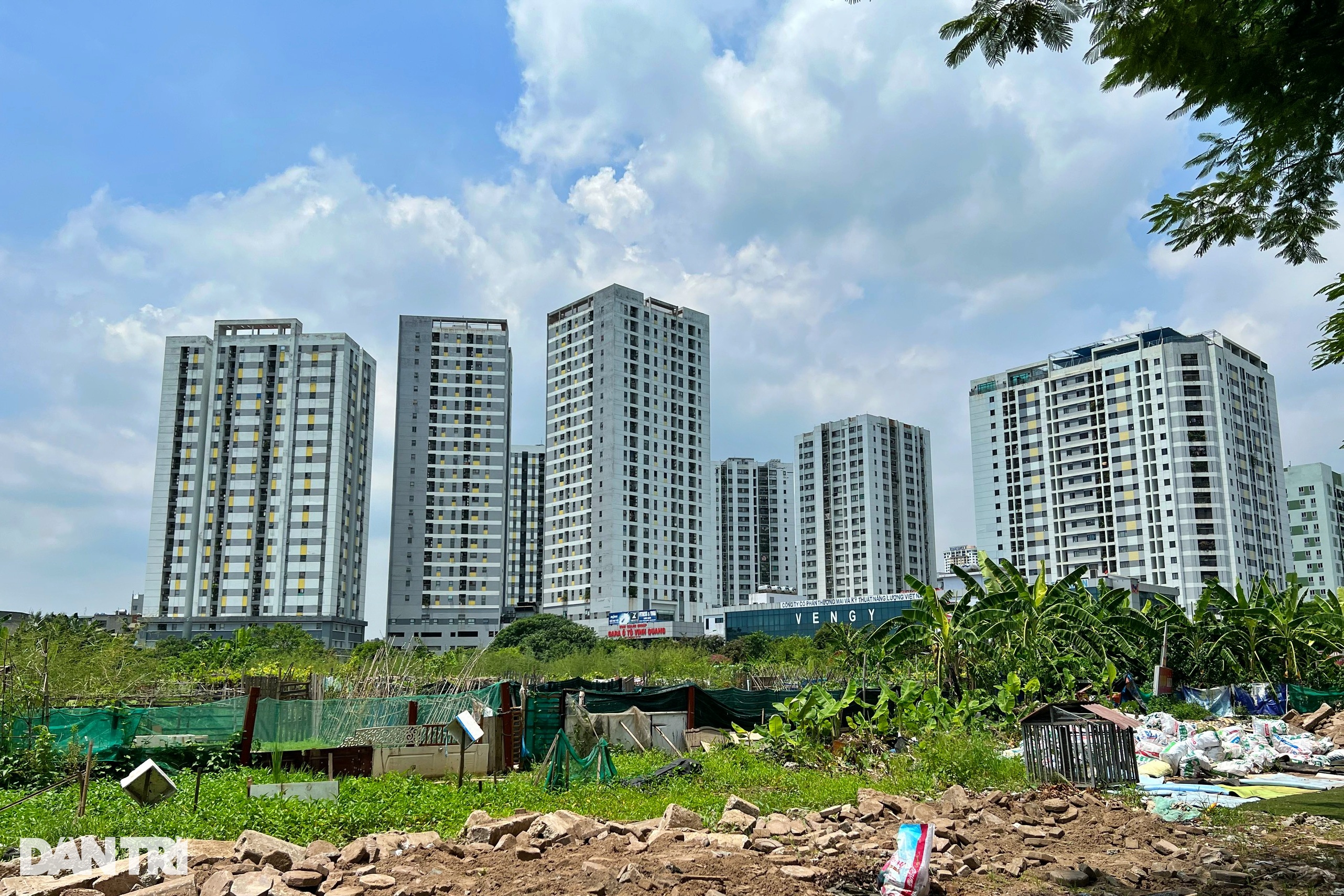 85 tòa chung cư trên phường Hoàng Liệt, bốc thăm suất học là còn nhẹ - 10