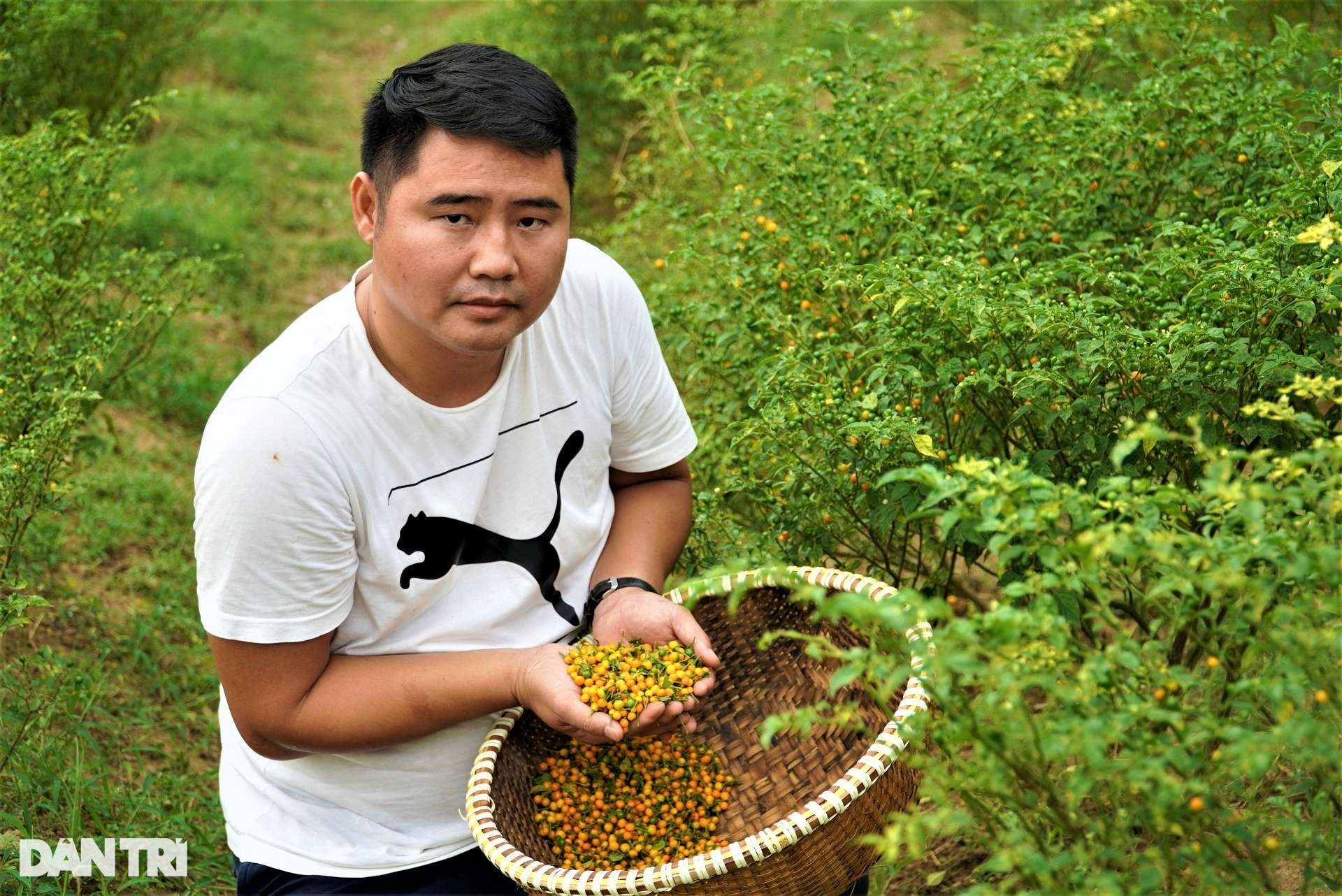 Trồng loại ớt đắt nhất thế giới, ôm lãi hàng trăm triệu đồng - Ảnh 9.