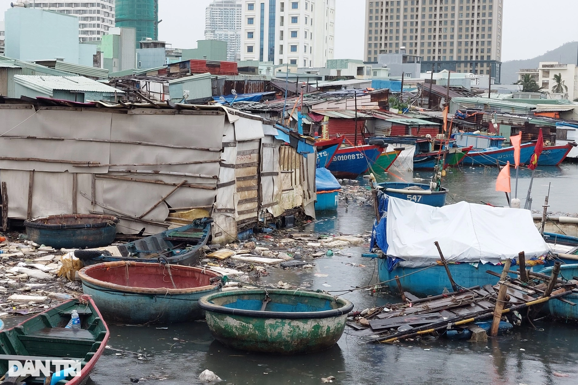 Di dời hơn 1.000 tàu cá tại biển Quy Nhơn để phát triển du lịch - 2