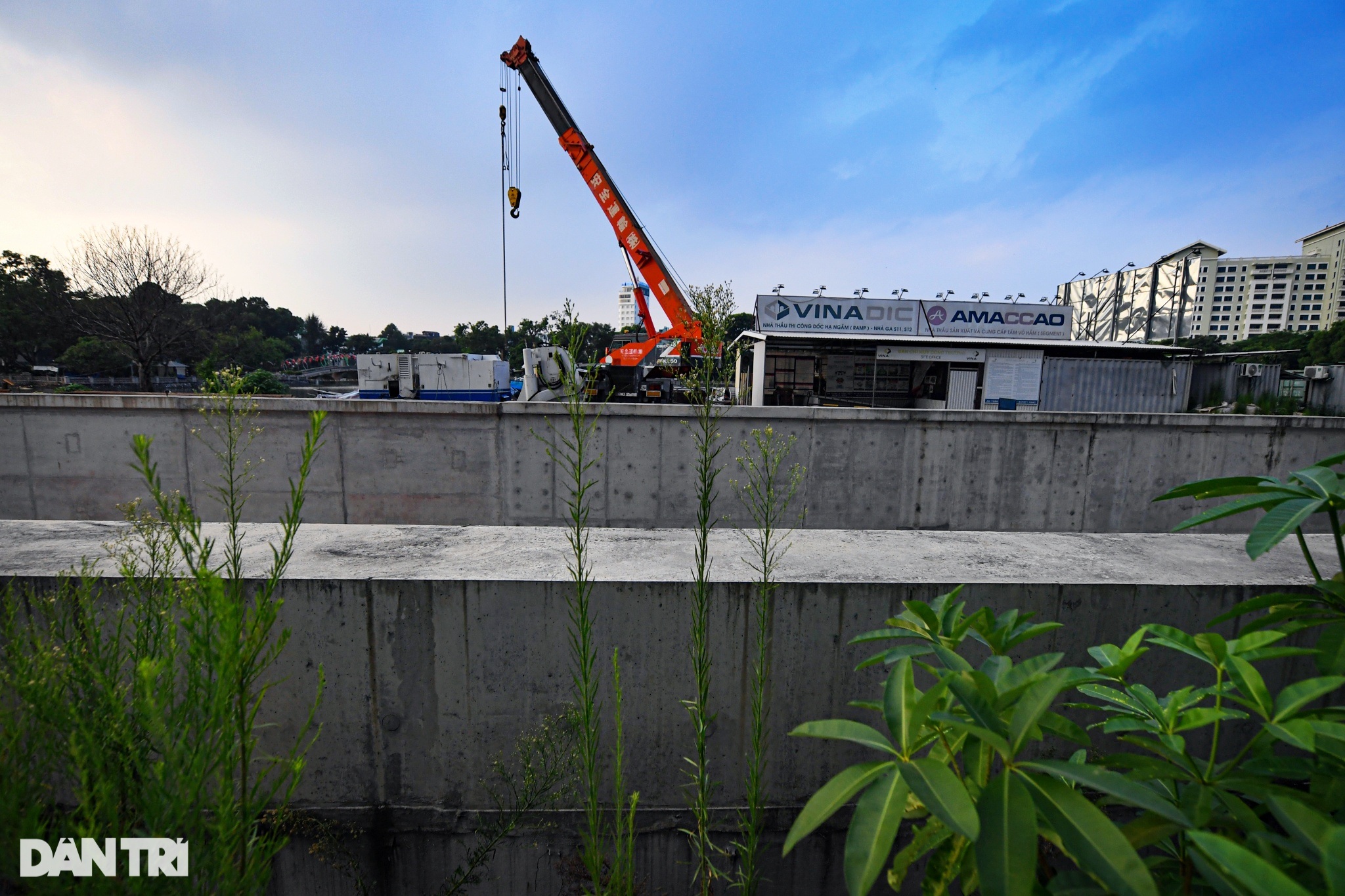 Cỏ cây mọc um tùm trên đại công trường dự án metro Nhổn - ga Hà Nội - 14