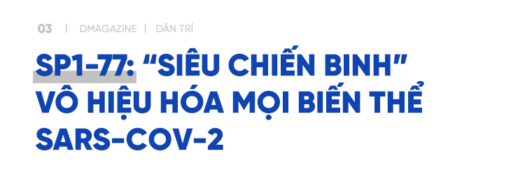 Giải mã siêu kháng thể vô hiệu hóa mọi biến thể SARS