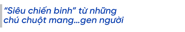 Giải mã siêu kháng thể vô hiệu hóa mọi biến thể SARS