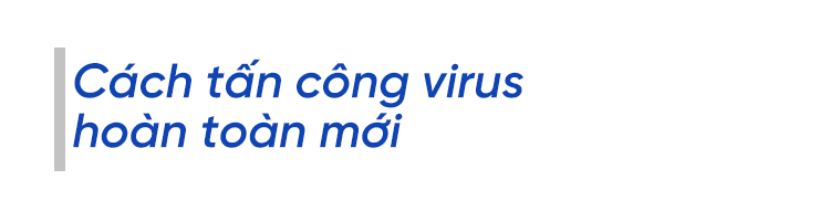 Giải mã siêu kháng thể vô hiệu hóa mọi biến thể SARS