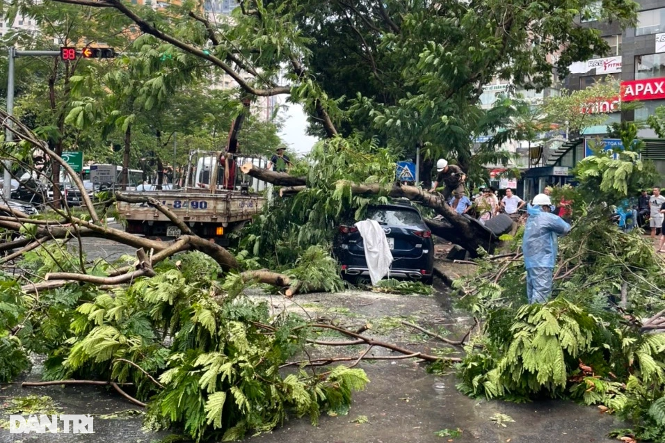 Mazda CX5 bị cây đổ đè trúng trên phố Hà Nội trong trận mưa dông lớn - 2