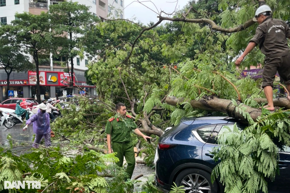 Mazda CX5 bị cây đổ đè trúng trên phố Hà Nội trong trận mưa dông lớn - 1