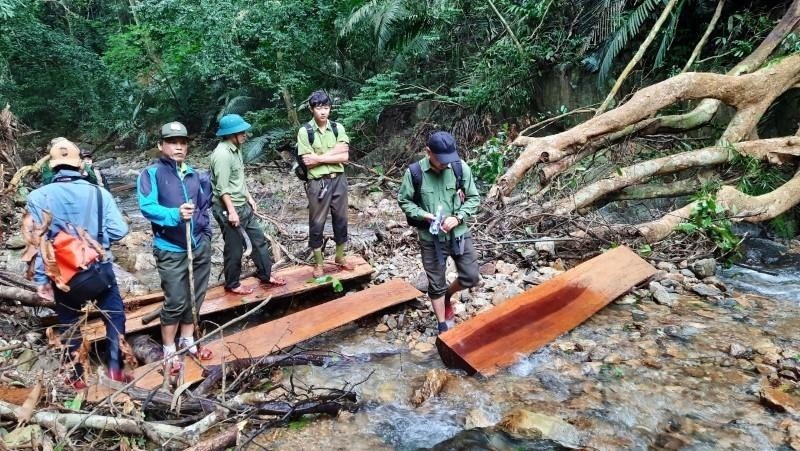 Kỷ luật Giám đốc Khu bảo tồn thiên nhiên để xảy ra phá rừng - 1