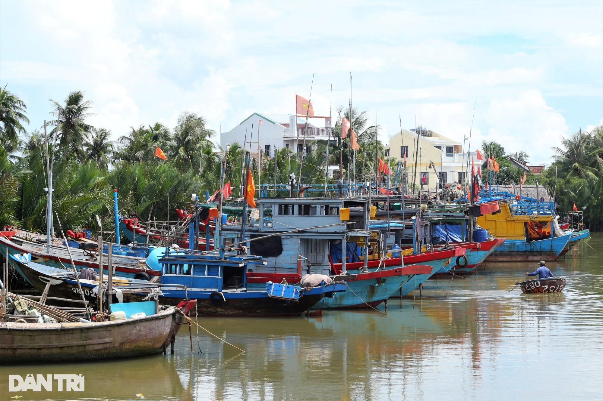 Hội An chằng chống di tích, bảo vệ bờ biển trước siêu bão Noru - 2