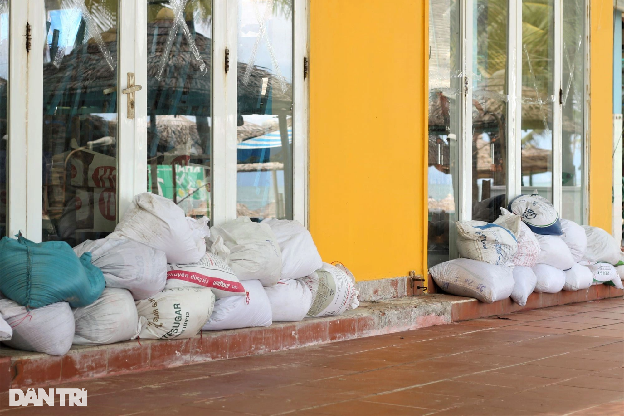 Hội An chằng chống di tích, bảo vệ bờ biển trước siêu bão Noru - 4