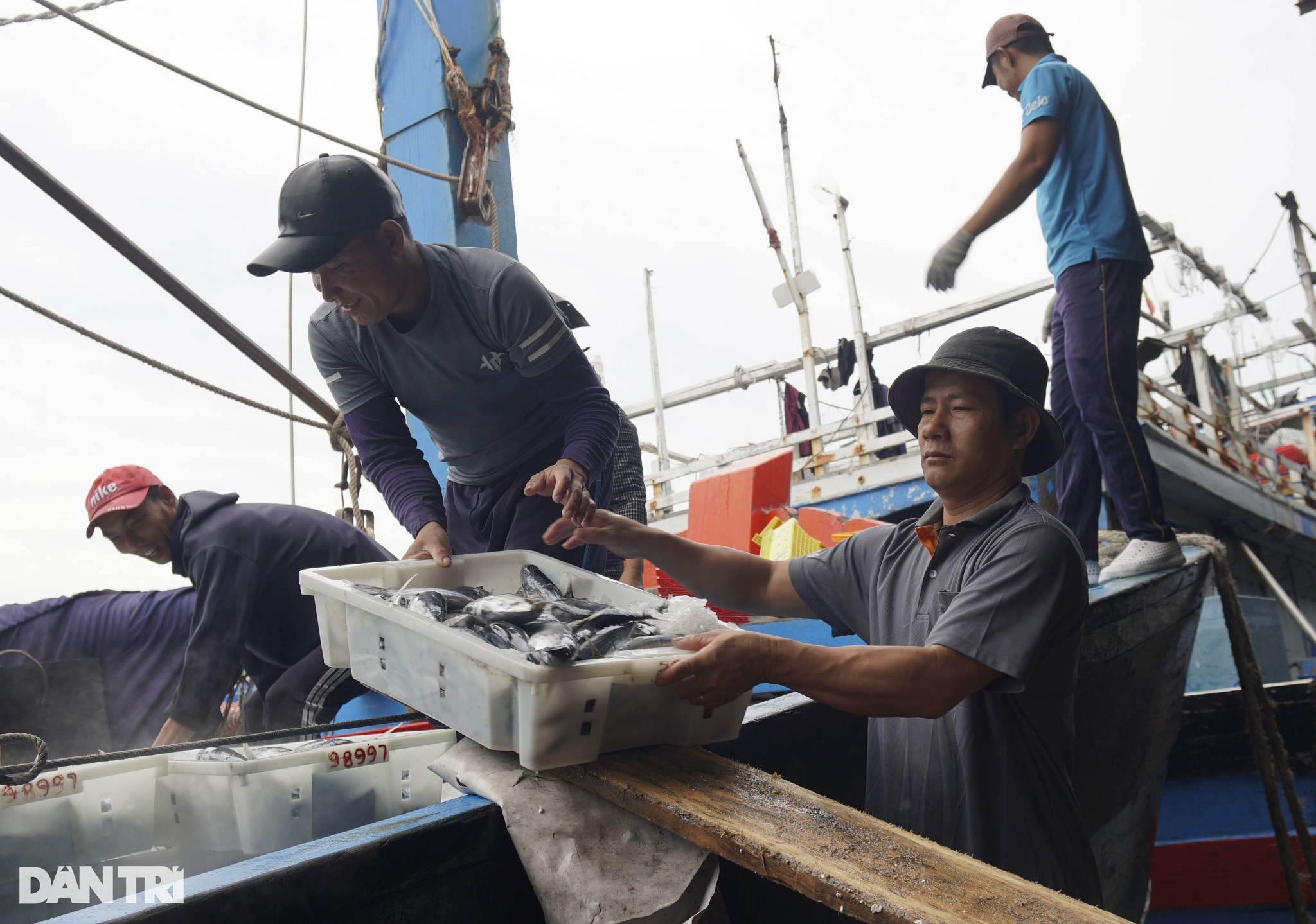 Đà Nẵng: Dừng họp chợ, công nhân viên chức nghỉ làm chống bão - 3