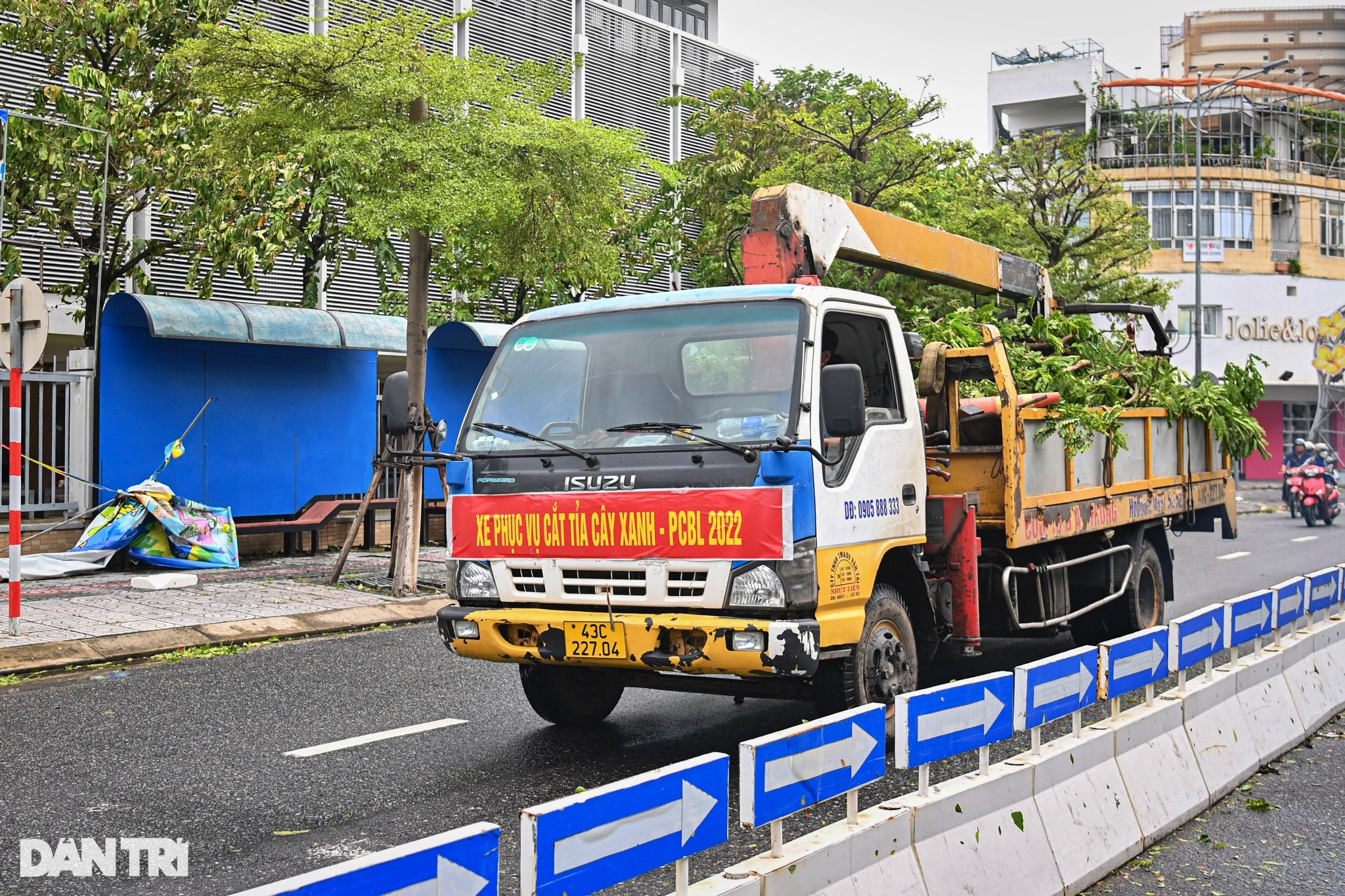 Người dân Đà Nẵng thở phào, khẩn trương dọn dẹp hậu quả sau bão - 7