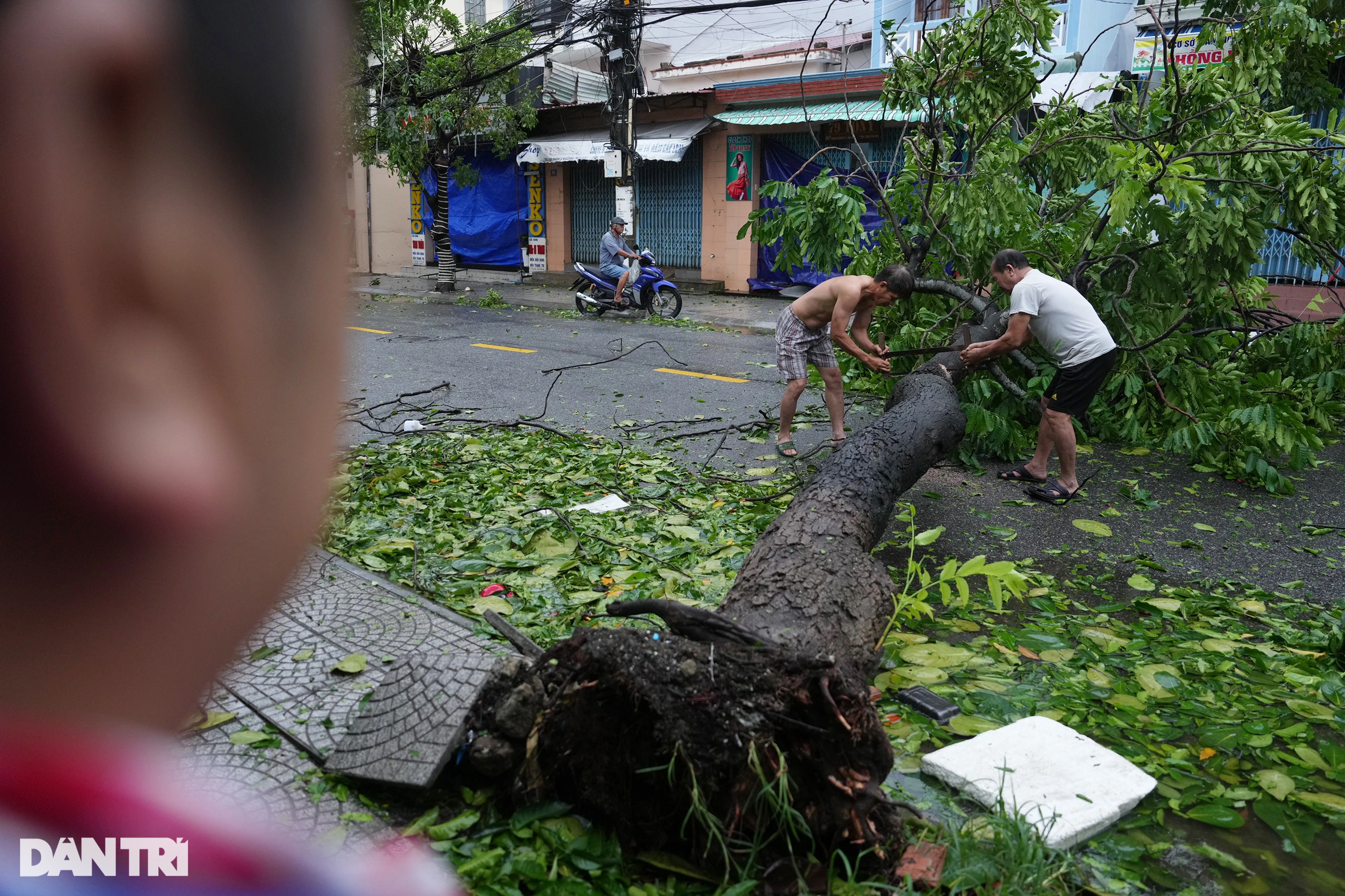 View - Người dân chung tay cùng dọn dẹp phố cổ Hội An, khắc phục hậu quả do bão | Báo Dân trí