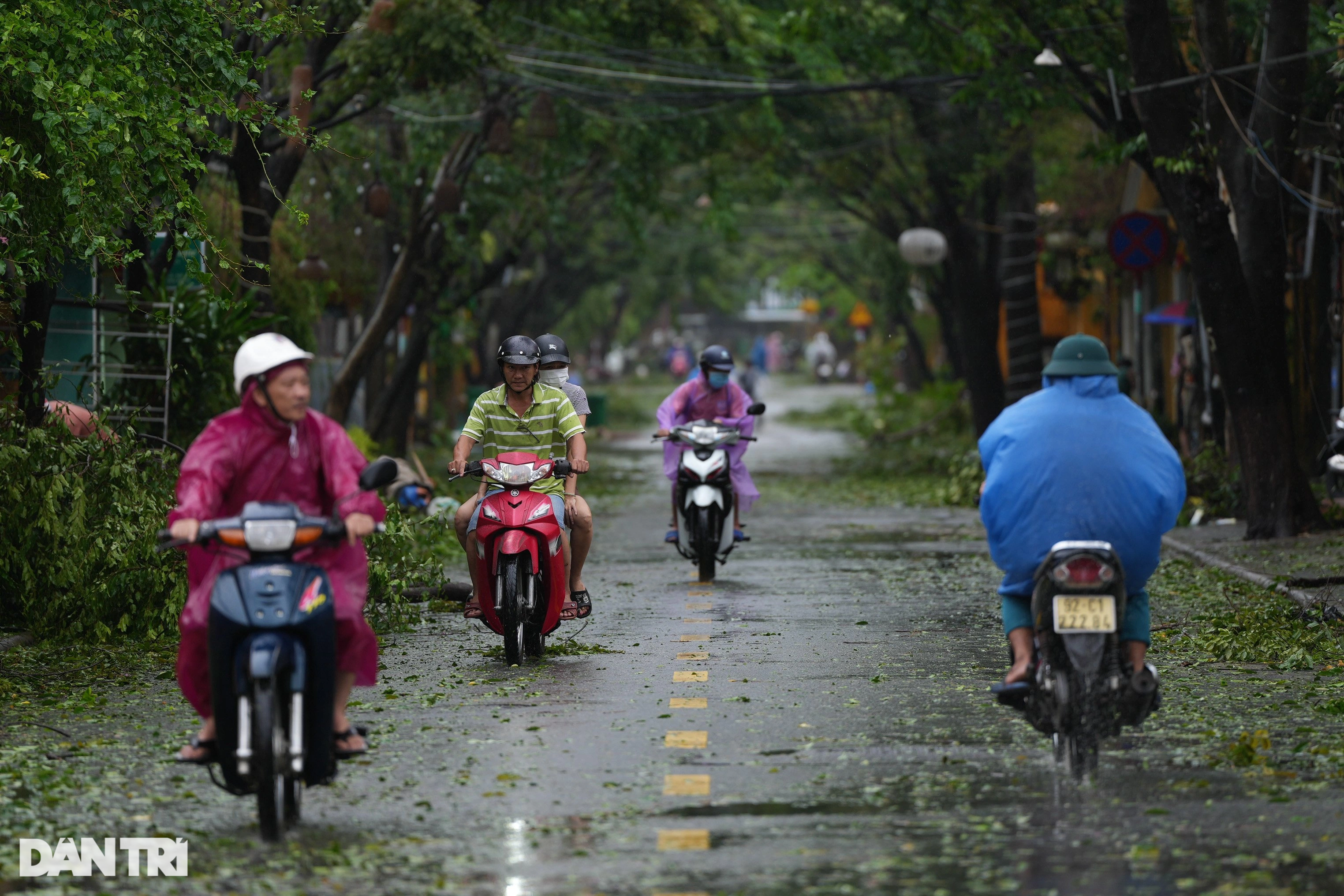 Người dân chung tay cùng dọn dẹp phố cổ Hội An, khắc phục hậu quả do bão - 10