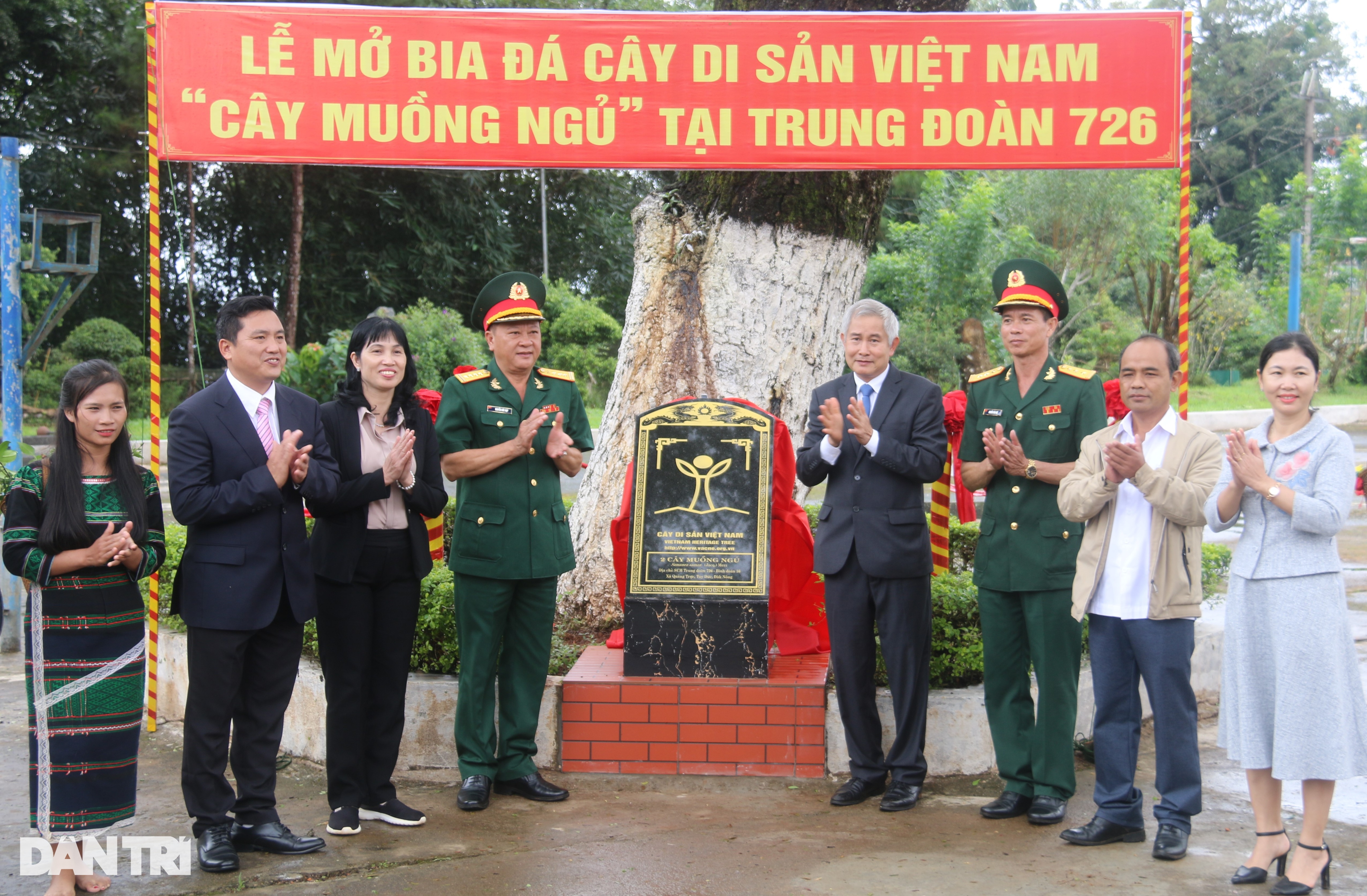 Cây me tây người Pháp trồng tặng vua Bảo Đại là Cây di sản Việt Nam - 3 Cây me tây người Pháp trồng tặng vua Bảo Đại là Cây di sản Việt Nam - 3