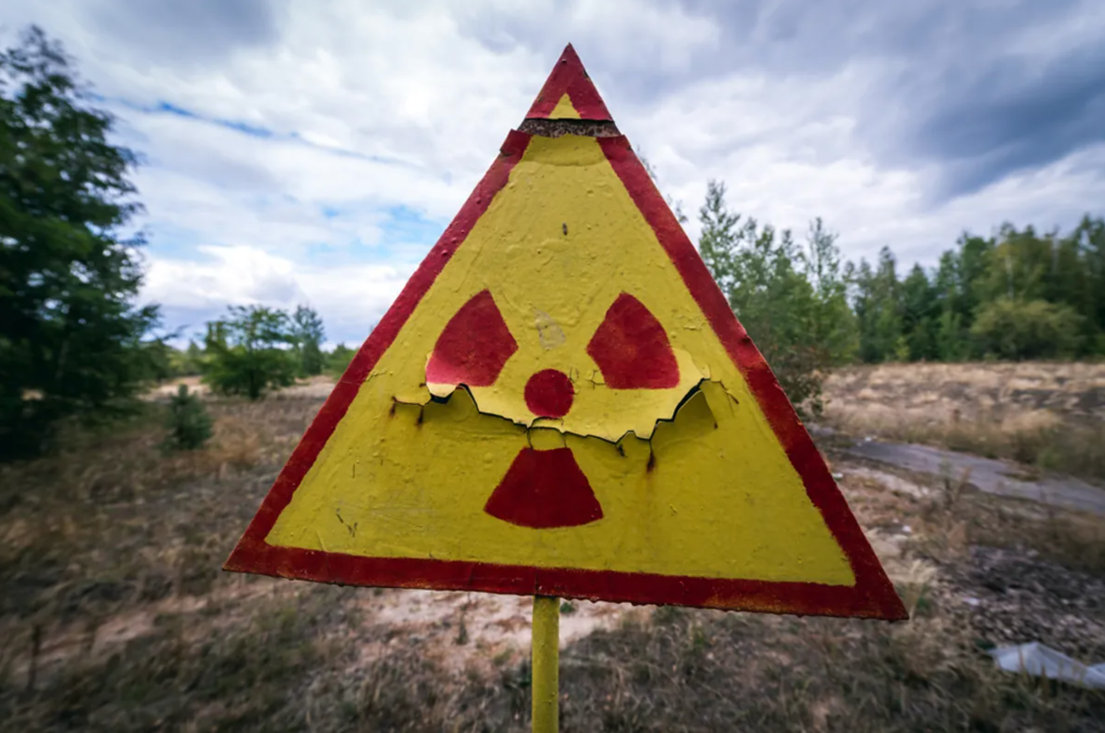 Ếch đột biến ở vùng đất ngập chìm trong phóng xạ Chernobyl - 1