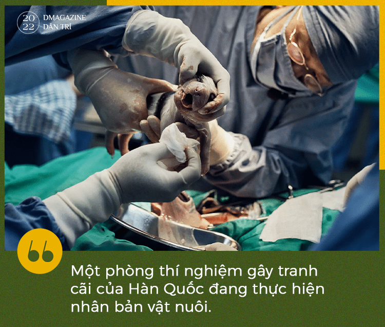 Phép màu cứu rỗi sinh vật bên bờ tuyệt chủng và tranh cãi của khoa học - 2 Phép màu cứu rỗi sinh vật bên bờ tuyệt chủng và tranh cãi của khoa học - 2