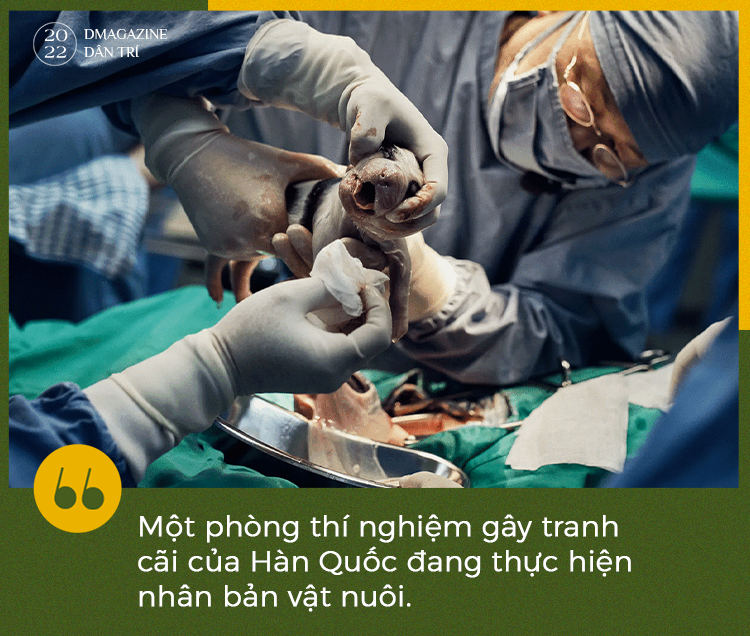 Phép màu cứu rỗi sinh vật bên bờ tuyệt chủng và tranh cãi của khoa học - 2