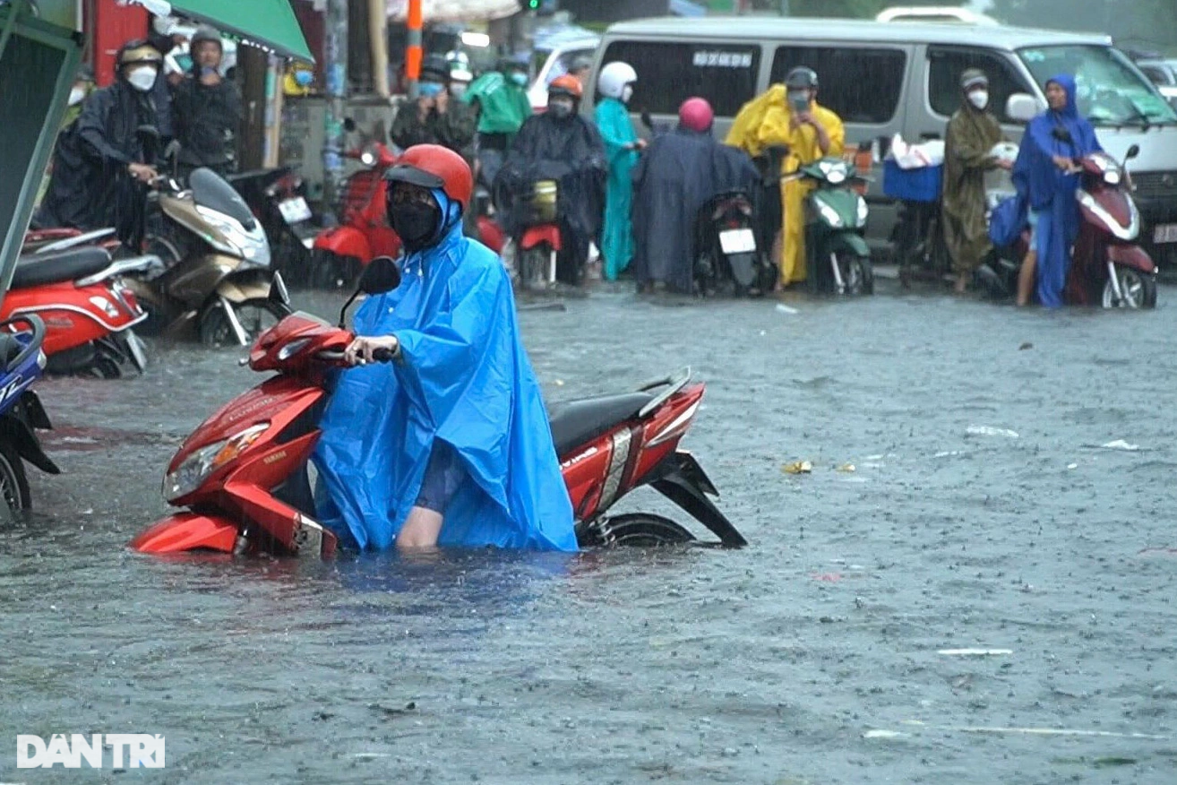 Cây gẫy đổ, đường ngập sâu trong mưa lớn ở TPHCM - 2