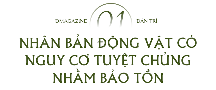 Phép màu cứu rỗi sinh vật bên bờ tuyệt chủng và tranh cãi của khoa học - 4 Phép màu cứu rỗi sinh vật bên bờ tuyệt chủng và tranh cãi của khoa học - 4