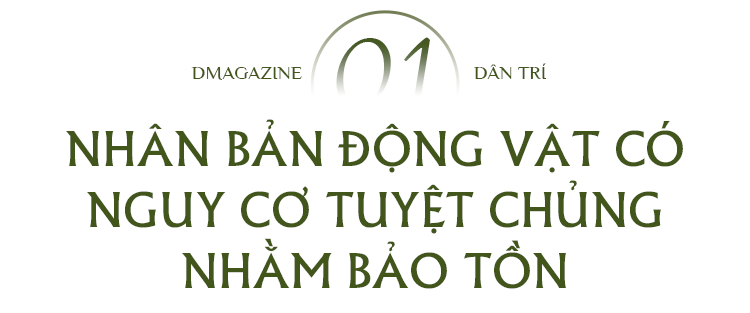 Phép màu cứu rỗi sinh vật bên bờ tuyệt chủng và tranh cãi của khoa học - 4