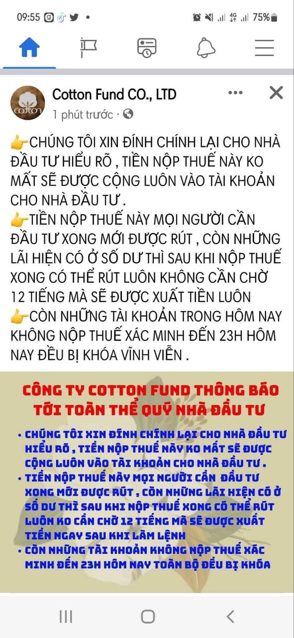 Vỡ mộng khi đầu tư vào Cotton fund lấy lãi cao hơn 300 lần lãi ngân hàng - 4 Vỡ mộng khi đầu tư vào Cotton fund lấy lãi cao hơn 300 lần lãi ngân hàng - 4