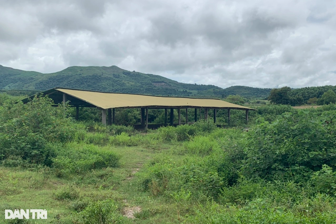 Đang tháo dỡ trang trại của nguyên Bí thư Tỉnh ủy Đắk Lắk trong khu bảo tồn - 8