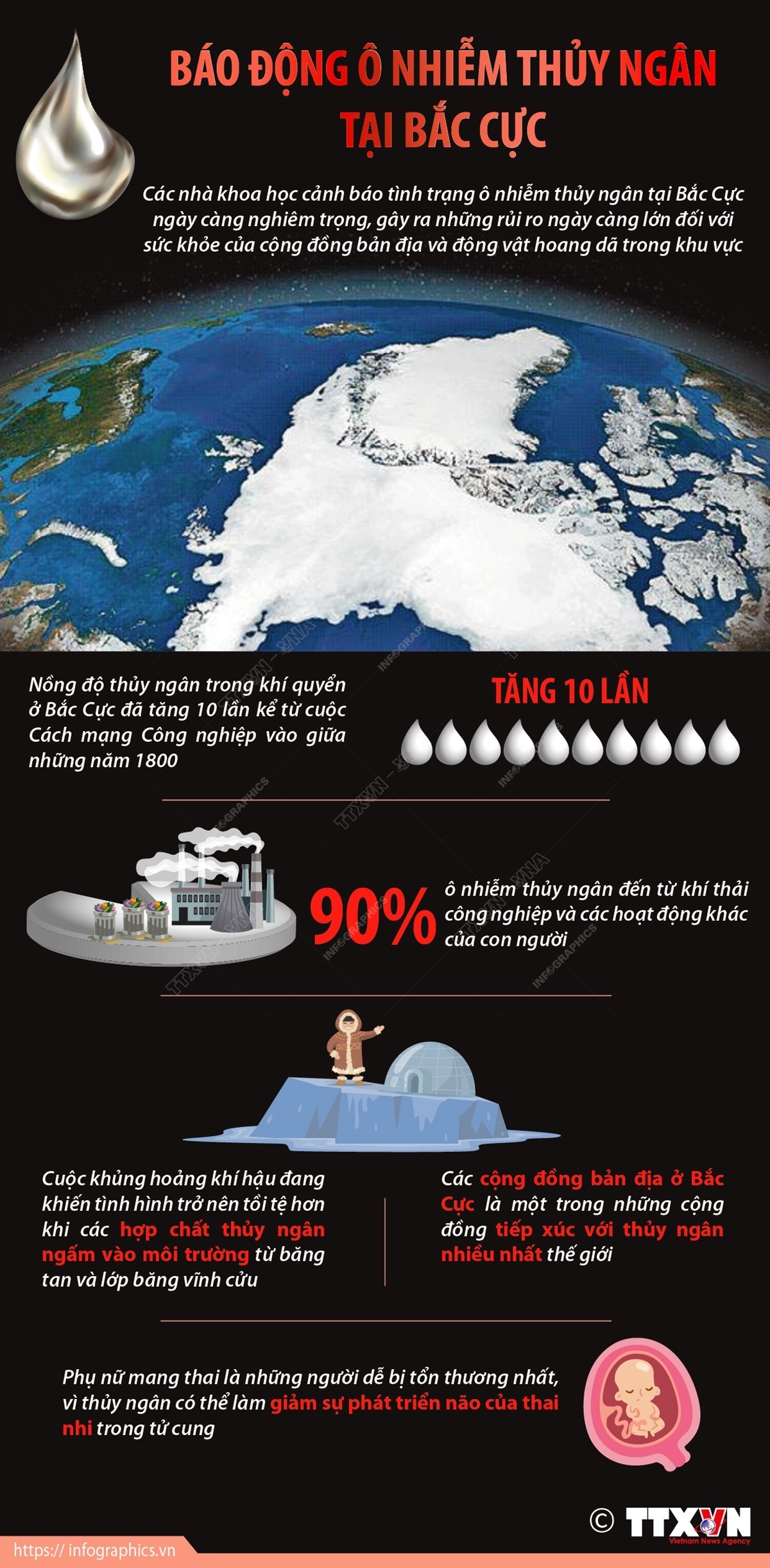 Infographics: Báo động tình trạng ô nhiễm thủy ngân tại Bắc Cực - 1