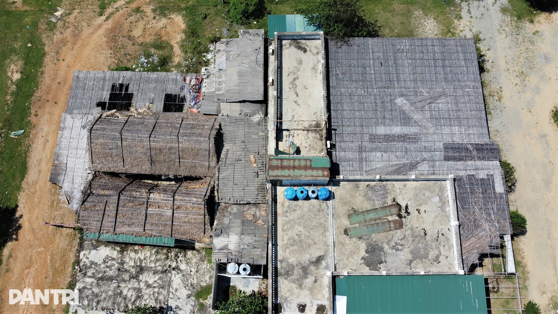 View - Bãi biển đẹp bị rác bủa vây, thành nơi chăn thả bò sau mùa du lịch | Báo Dân trí