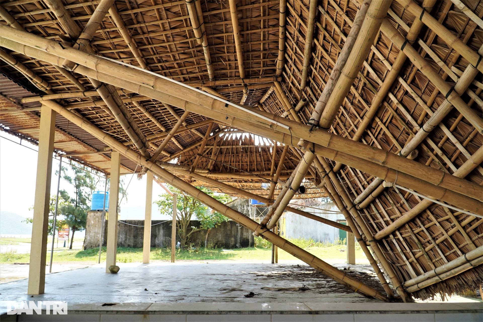 View - Bãi biển đẹp bị rác bủa vây, thành nơi chăn thả bò sau mùa du lịch | Báo Dân trí