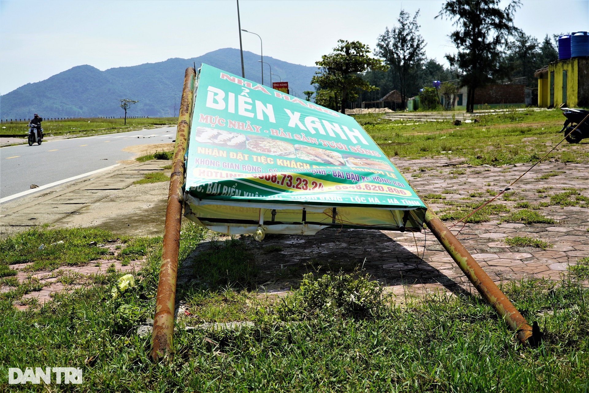 View - Bãi biển đẹp bị rác bủa vây, thành nơi chăn thả bò sau mùa du lịch | Báo Dân trí