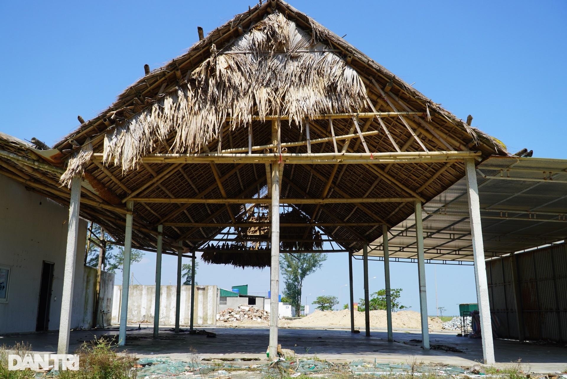 View - Bãi biển đẹp bị rác bủa vây, thành nơi chăn thả bò sau mùa du lịch | Báo Dân trí