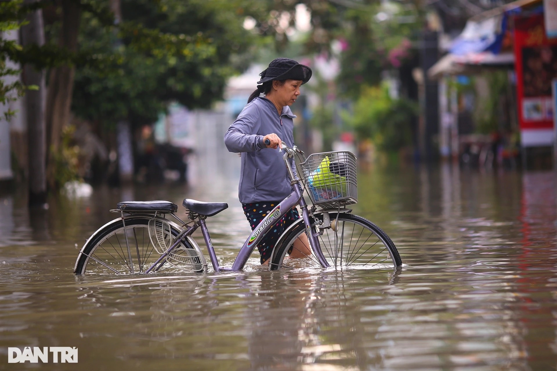 Bão Nesat ảnh hưởng như thế nào tới TPHCM? - 1