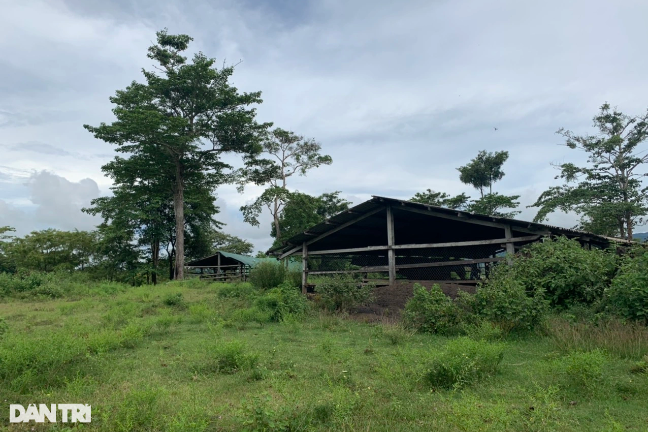 Đang tháo dỡ trang trại của nguyên Bí thư Tỉnh ủy Đắk Lắk trong khu bảo tồn - 4