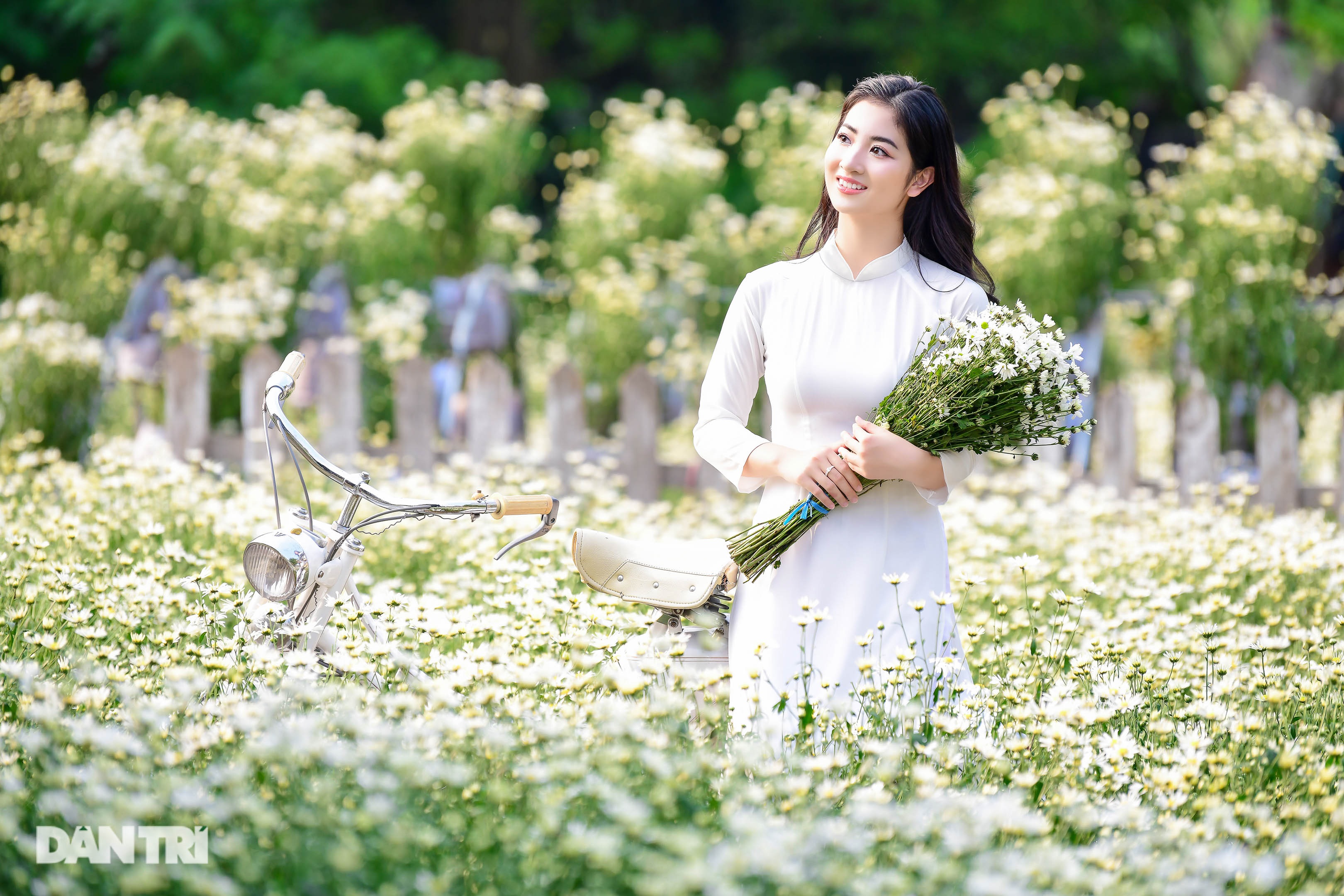 View - Thiếu nữ Hà Thành thướt tha khoe sắc bên cúc họa mi đầu mùa | Báo Dân trí