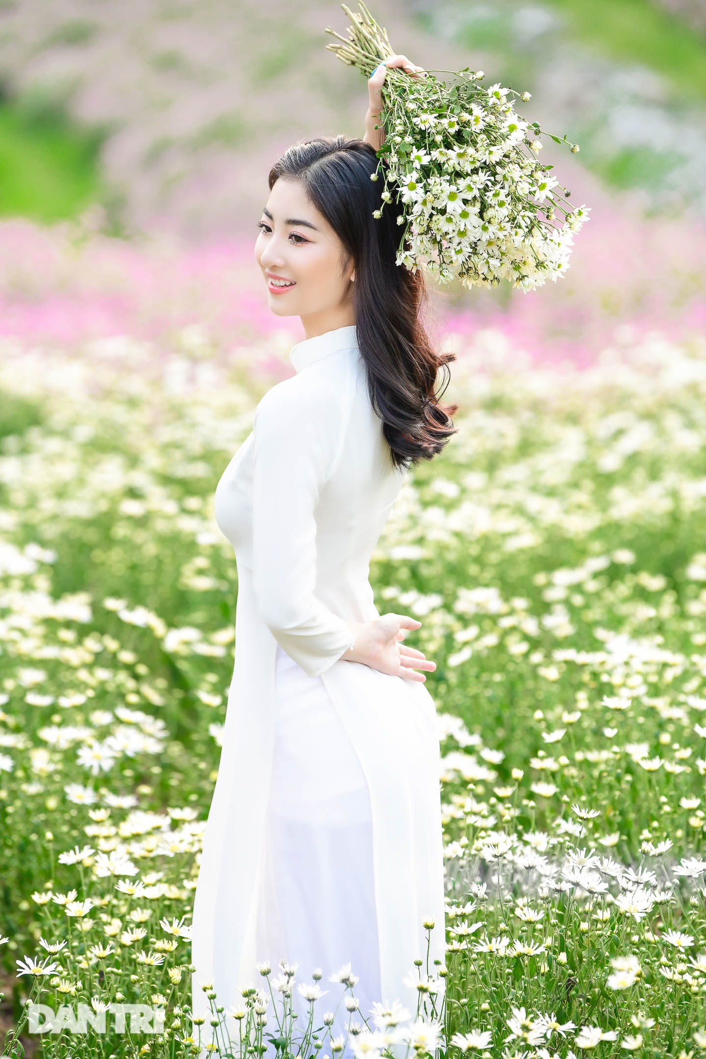 View - Thiếu nữ Hà Thành thướt tha khoe sắc bên cúc họa mi đầu mùa | Báo Dân trí