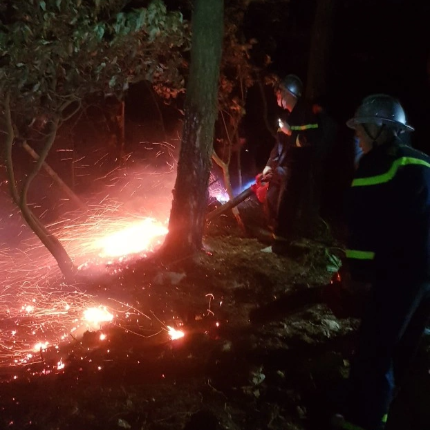 Hơn 350 người xuyên đêm chữa cháy rừng ở Hà Nội - 3