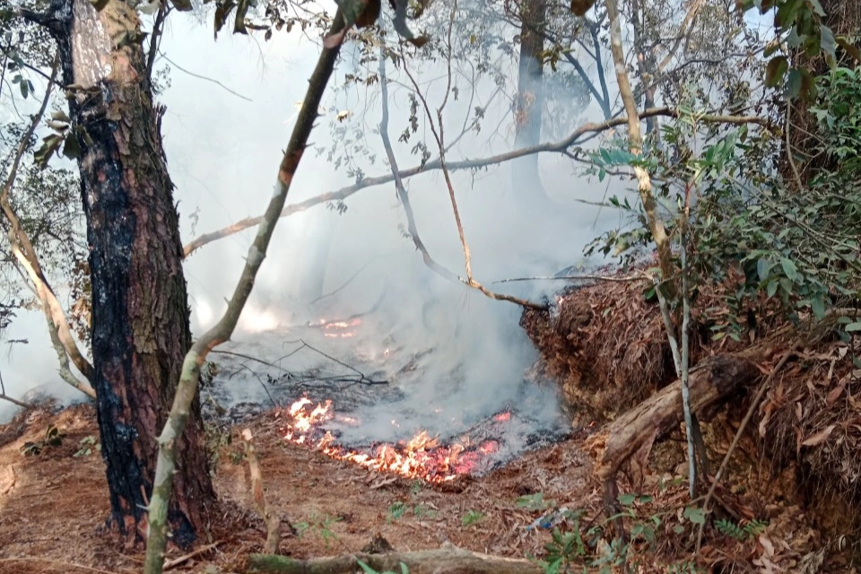 Hơn 350 người xuyên đêm chữa cháy rừng ở Hà Nội - 4