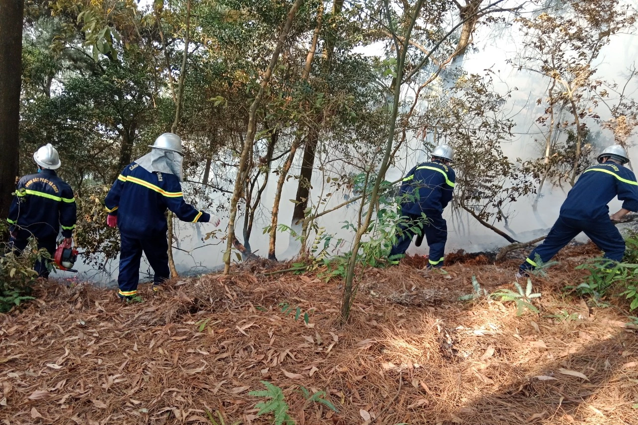 Hơn 350 người xuyên đêm chữa cháy rừng ở Hà Nội - 2