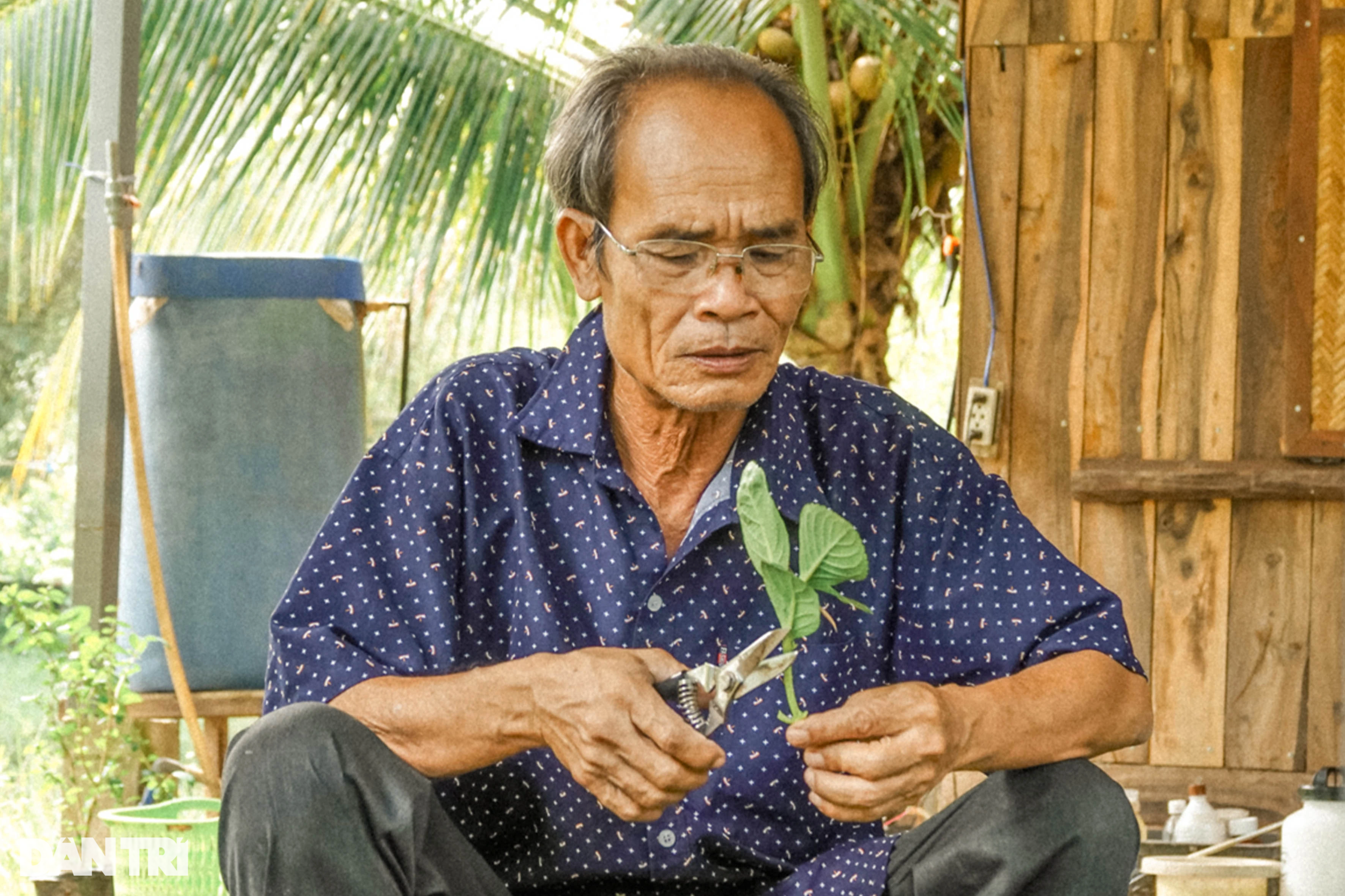 Lão nông dành hơn chục năm bắt cẩm tú cầu bén rễ ở xứ nóng - Ảnh 4.