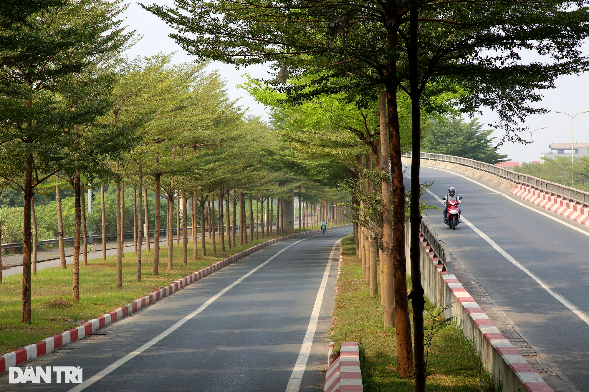 Nút giao có không gian xanh tuyệt đẹp được lên hình nhiều nhất của Hà Nội - 2