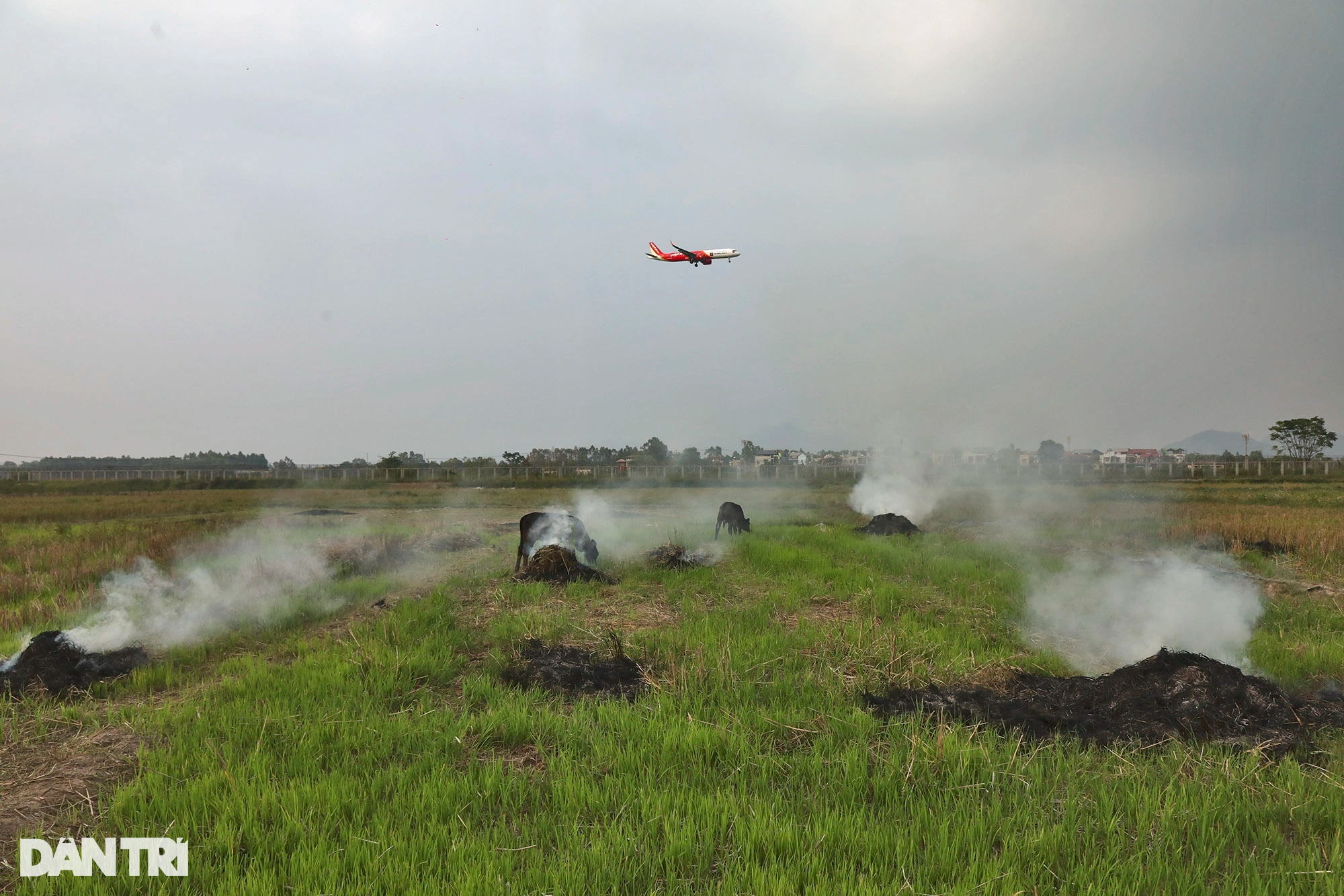 Khói đốt rơm rạ mù mịt khu vực máy bay hạ cánh sân bay Nội Bài - 1