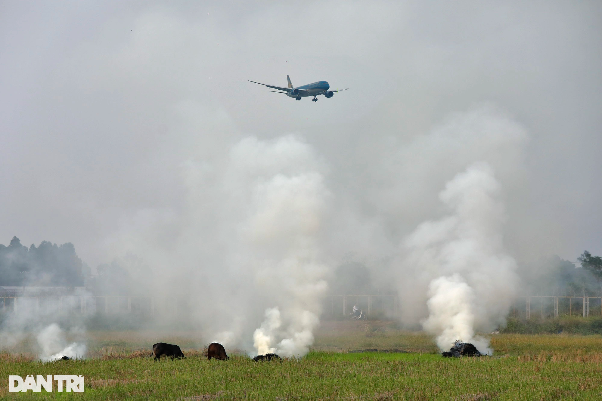 Khói đốt rơm rạ mù mịt khu vực máy bay hạ cánh sân bay Nội Bài - 6