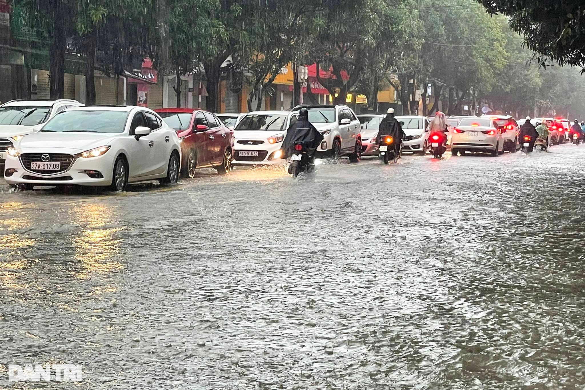 Trận mưa lớn hiếm gặp khiến đường phố thành Vinh ngập sâu - 1