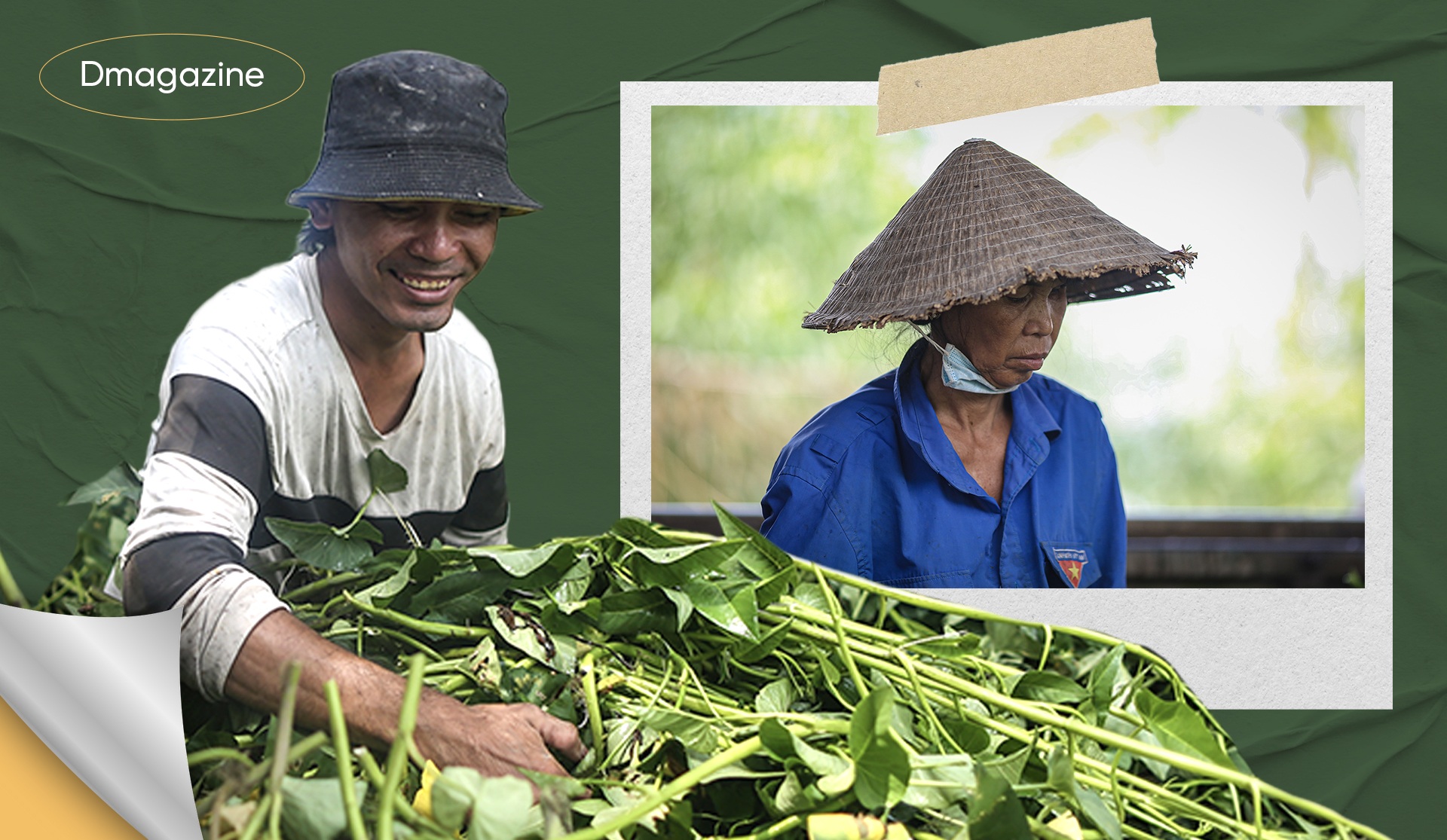 Chuyện chưa kể về những người miền Tây bỏ quê lên TPHCM làm nông dân - 4 Chuyện chưa kể về những người miền Tây bỏ quê lên TPHCM làm nông dân - 4