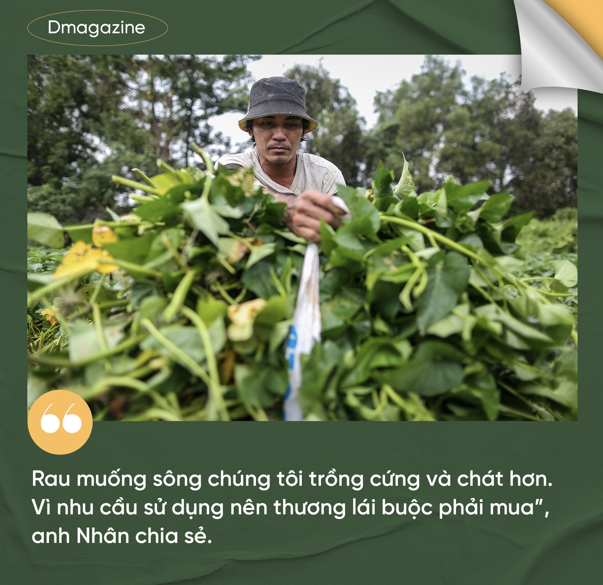 Chuyện chưa kể về những người miền Tây bỏ quê lên TPHCM làm nông dân - 6 Chuyện chưa kể về những người miền Tây bỏ quê lên TPHCM làm nông dân - 6