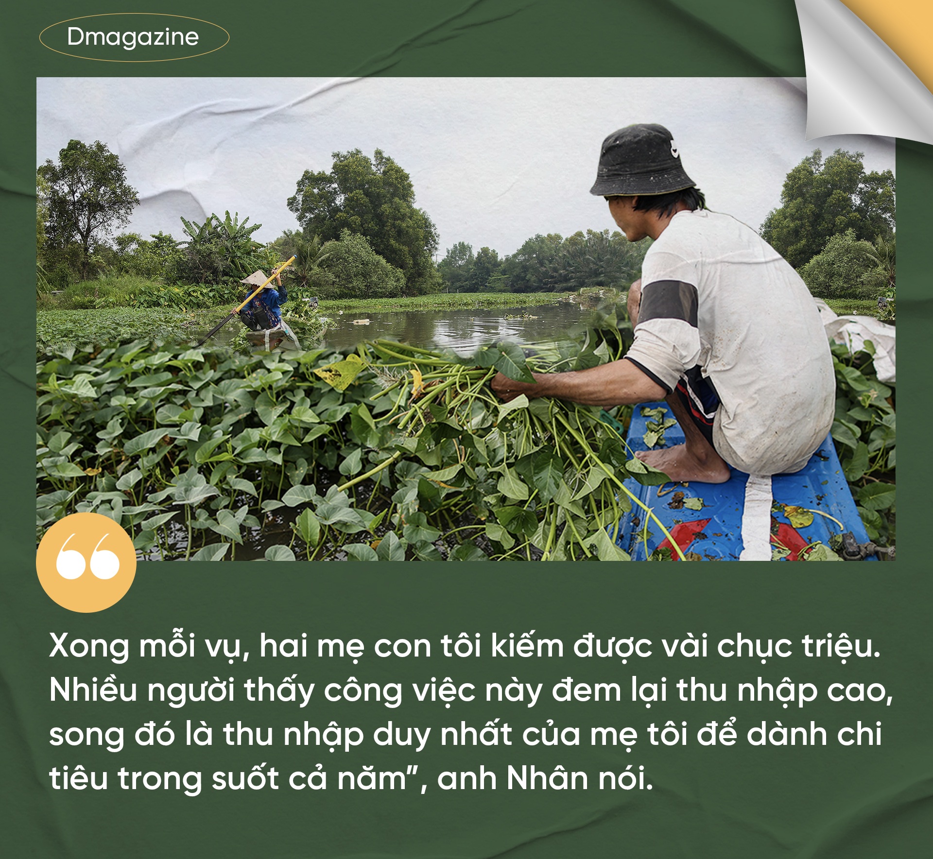 Chuyện chưa kể về những người miền Tây bỏ quê lên TPHCM làm nông dân - 12 Chuyện chưa kể về những người miền Tây bỏ quê lên TPHCM làm nông dân - 12