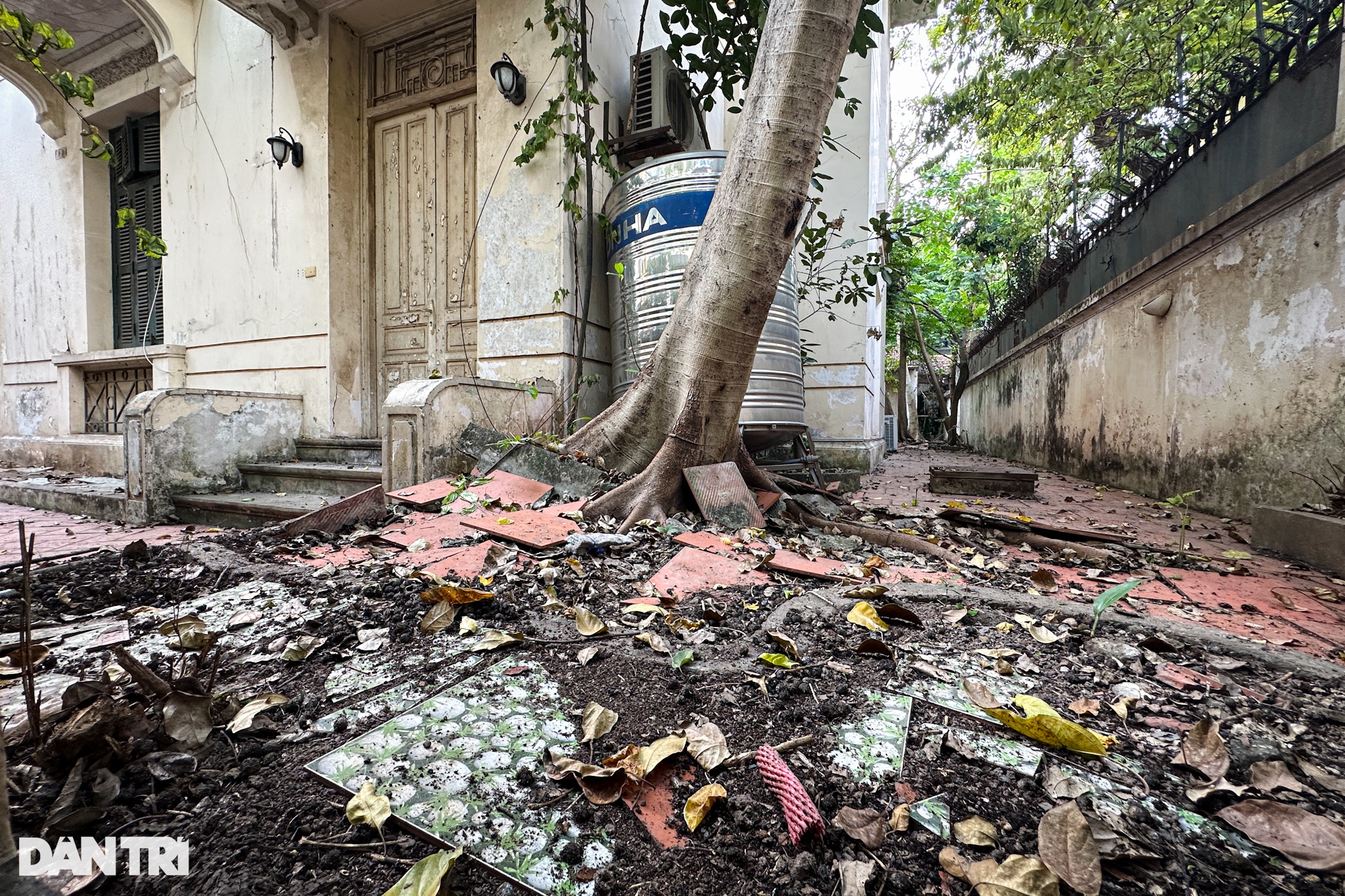 Ngỡ ngàng biệt thự trên đất vàng Hà Nội bỏ hoang 8 năm sạch bóng rác thải - 9