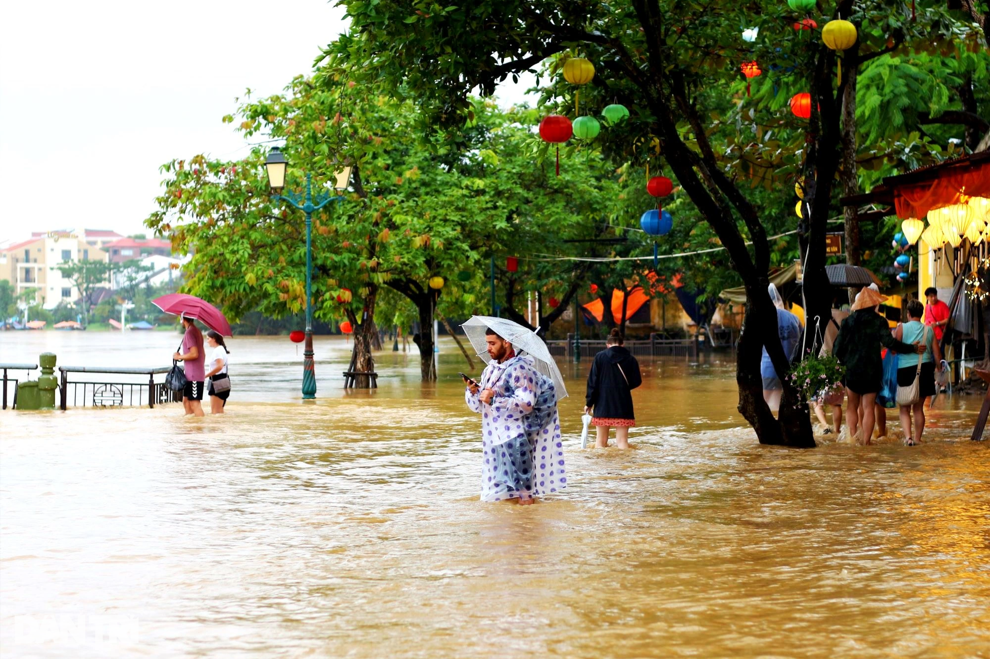 Hội An hứng trận lụt cuối năm, du khách lội nước ngắm phố cổ - 1