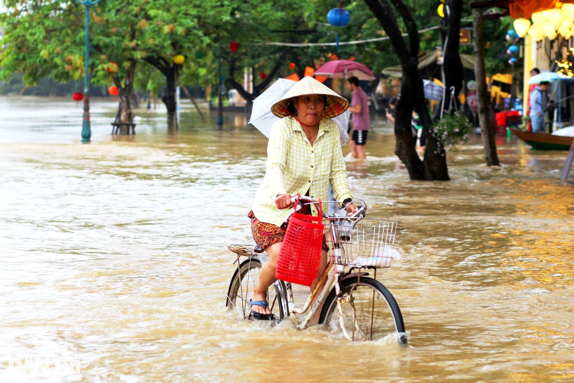 Hội An hứng trận lụt cuối năm, du khách lội nước ngắm phố cổ - 9