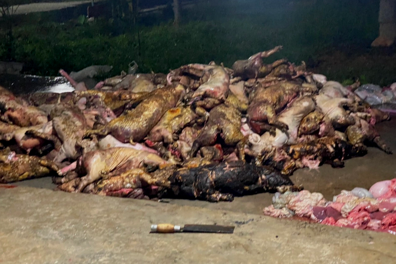 Trang trại bốc cháy, hơn 1.000 con lợn bị lửa thiêu sống - 1
