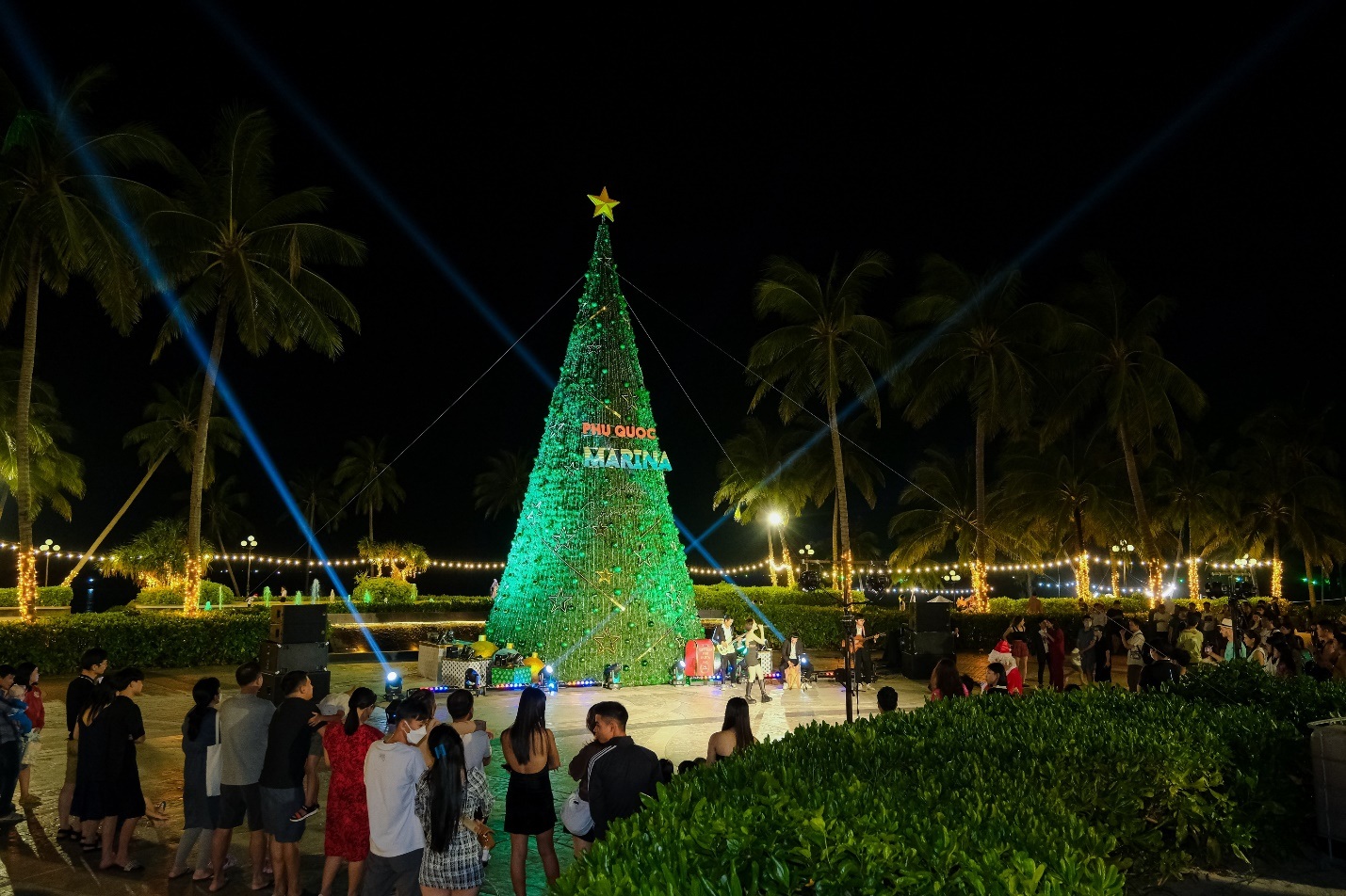 12m high pine tree hangs visitors' New Year wishes
